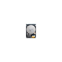 Seagate SV35.3 ST31000340SV 1 TB