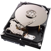 Seagate Terascale ST4000NC001