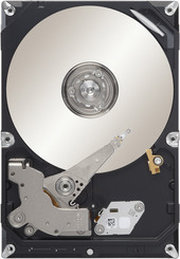 Seagate Video 3.5 3TB фото