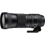 Sigma 150-600mm F5-6.3 DG OS HSM | C Nikon фото