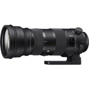 Sigma 150-600mm F5-6.3 DG OS HSM | S Canon фото