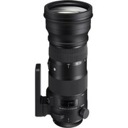 Sigma 150-600mm F5-6.3 DG OS HSM | S Nikon фото