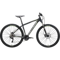 Silverback Vida 2 (2013)