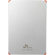 SK hynix SL308 120GB фото