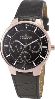 Skagen 331XLRLB фото