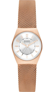 Skagen Grenen Lille SKW3035 фото