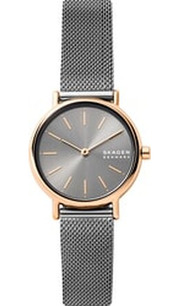 Skagen Signatur SKW2996 фото