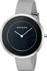 Skagen SKW1070 фото