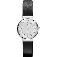 Skagen SKW2005