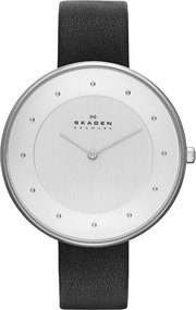 Skagen SKW2232 фото