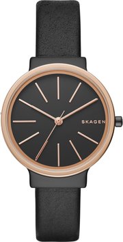 Skagen SKW2480 фото