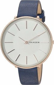 Skagen SKW2723 фото