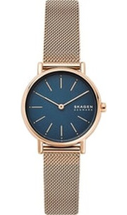 Skagen SKW2837 фото