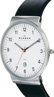 Skagen SKW6024 фото