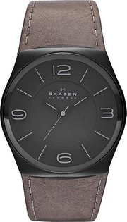 Skagen SKW6041 фото