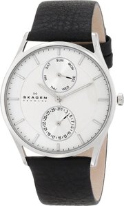 Skagen SKW6065 фото