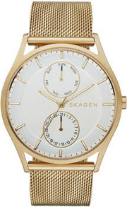 Skagen SKW6173 фото