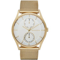 Skagen SKW6173