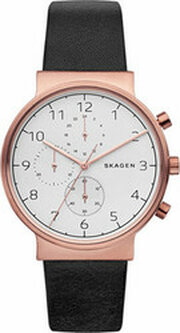 Skagen SKW6371 фото