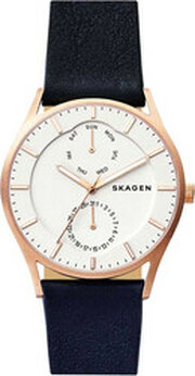 Skagen SKW6372 фото