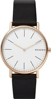 Skagen SKW6430 фото