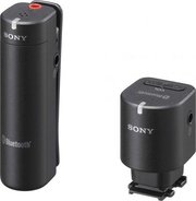 Sony ECM-W1M фото