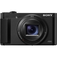 Sony HX99