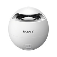 Sony SRS-X1