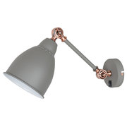 Arte Lamp A2054AP-1GY фото