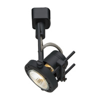 Arte Lamp A4300PL-1BK