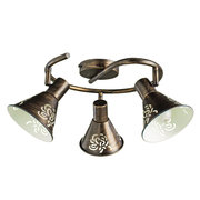 Arte Lamp A5218PL-3BR фото