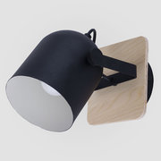 TK Lighting 2629 Spectro Black фото