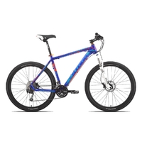 Stark Surfer Race 650B (2015)