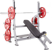 SteelFlex NOIB фото