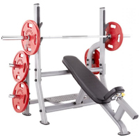 Steelflex NOIB