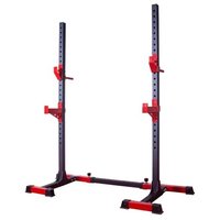 Evo fitness Стойка HOME LINE SR11