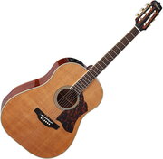 Takamine CRN-TS1 фото