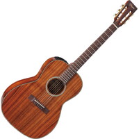 Takamine EF407