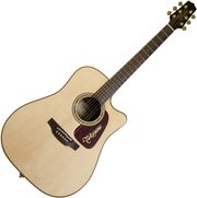 Takamine P5DC фото