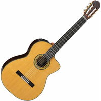 Takamine TH5C