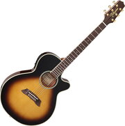 Takamine TSP138C фото