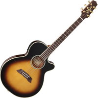 Takamine TSP138C