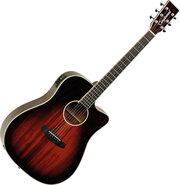 Tanglewood TW5E фото