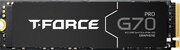 Teamgroup T-Force G70 Pro 1TB TM8FFH001T0C129 фото