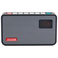 Tecsun ICR-100