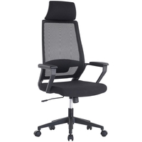 Tetchair Mesh-7