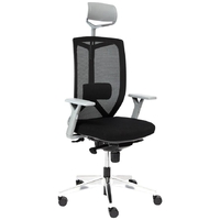 Tetchair Volo