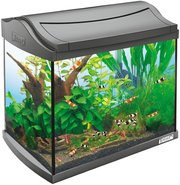 Tetra AquaArt LED Goldfish фото