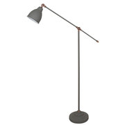 Arte Lamp A2054PN-1GY фото