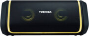 Toshiba TY-WSP150 фото